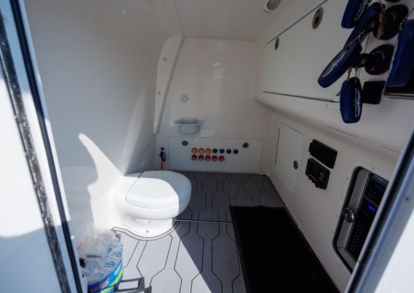 Invincible 37 Cat image