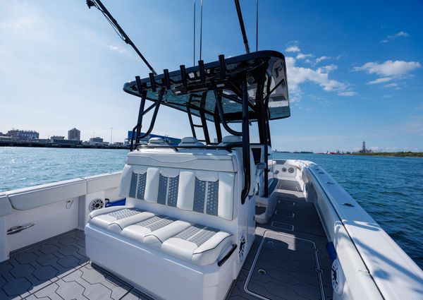 Invincible 37 Cat image