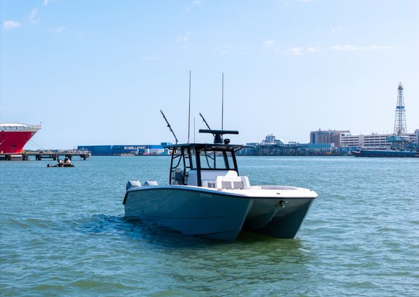 Invincible 37 Cat image