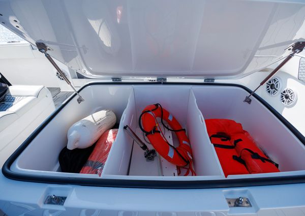 Invincible 37 Cat image