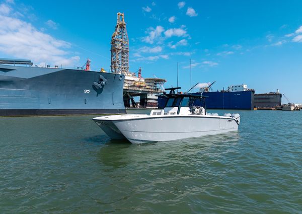 Invincible 37 Cat image