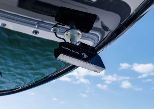 Invincible 37 Cat image