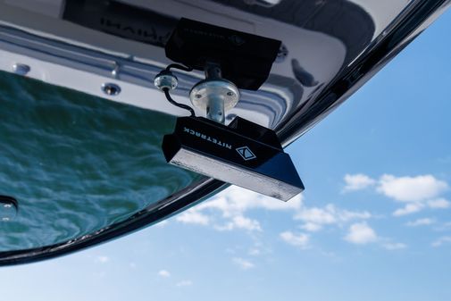 Invincible 37 Cat image