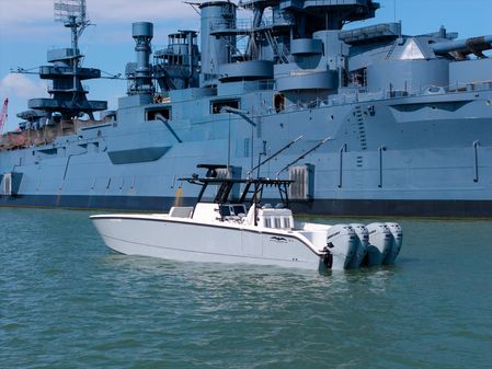 Invincible 37 Cat image