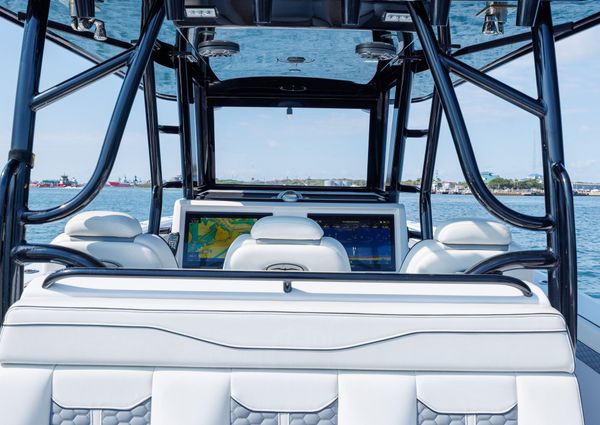 Invincible 37 Cat image