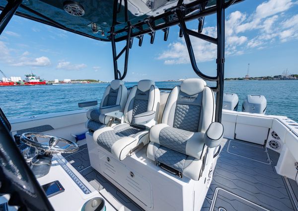 Invincible 37 Cat image