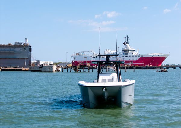 Invincible 37 Cat image