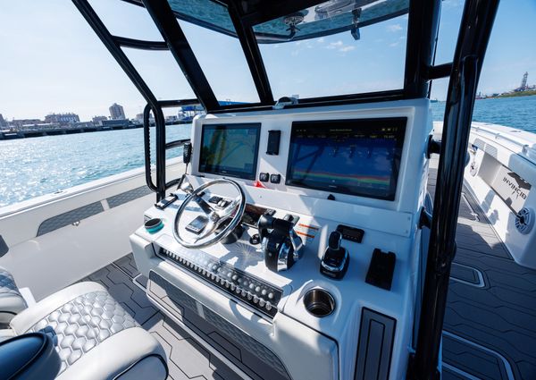 Invincible 37 Cat image