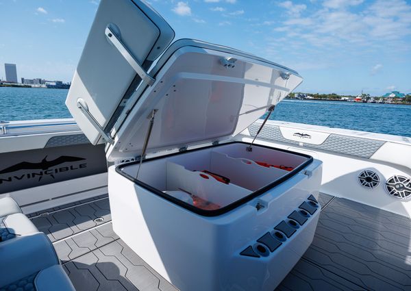 Invincible 37 Cat image