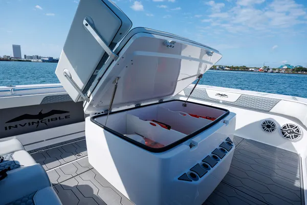 Invincible 37 Catamaran image