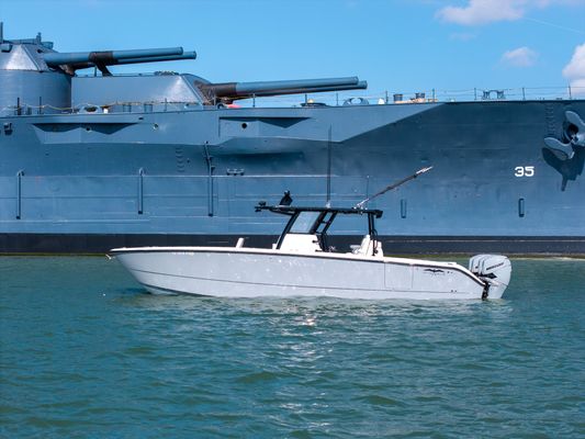 Invincible 37 Cat - main image