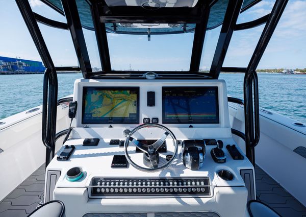 Invincible 37 Cat image