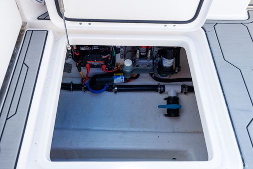 Invincible 37 Cat image