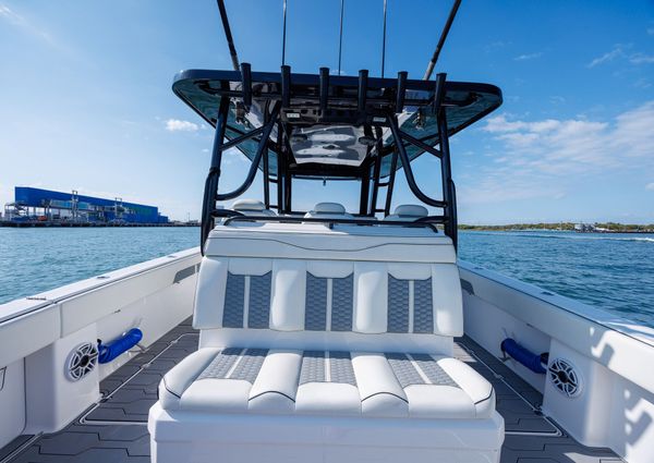 Invincible 37 Cat image