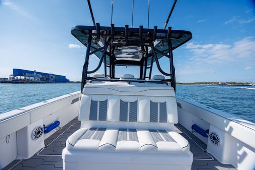 Invincible 37 Cat image