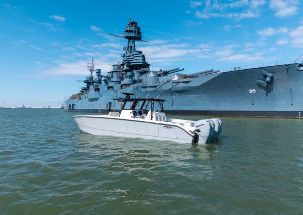 Invincible 37 Cat image