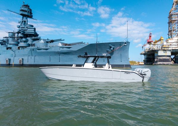 Invincible 37 Cat image