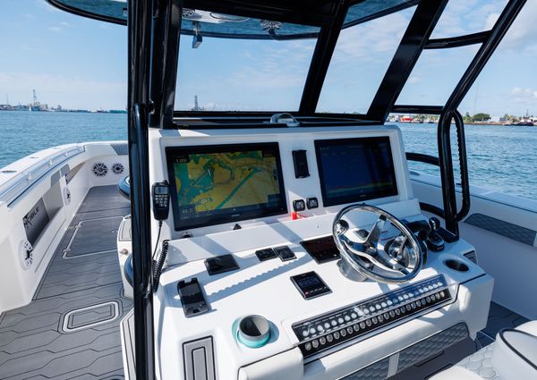 Invincible 37 Cat image