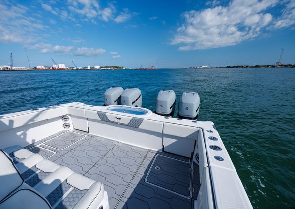 Invincible 37 Cat image