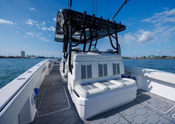 Invincible 37 Cat image