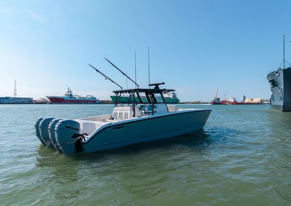 Invincible 37 Cat image