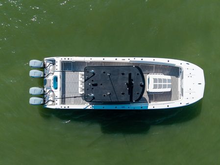 Invincible 37 Cat image