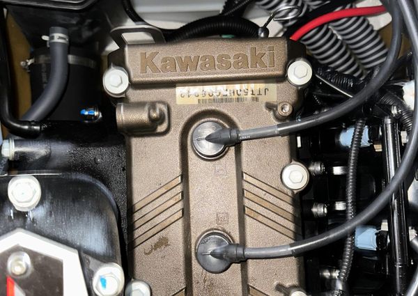 Kawasaki ULTRA-300X image