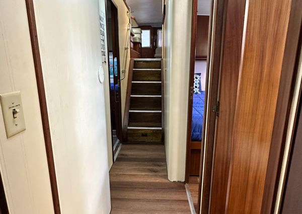 Hatteras Enclosed Bridge Sportfish image