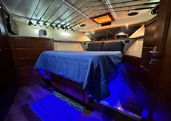 Hatteras Enclosed Bridge Sportfish image