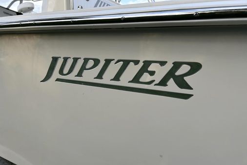 Jupiter 31 image