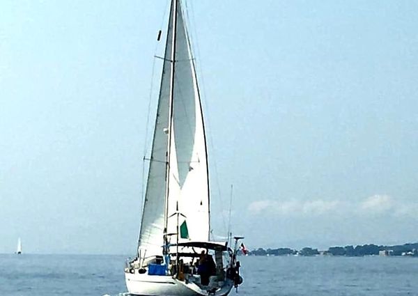 Bavaria 46-HOLIDAY image