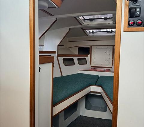 Custom Alton Express Cruiser image