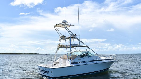 Bertram 30 Moppie