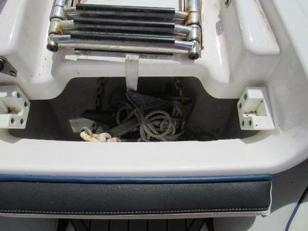 Yamaha-boats 242SE image