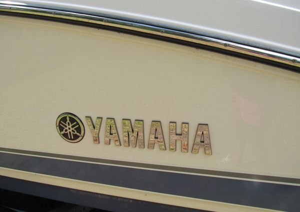Yamaha-boats 242SE image