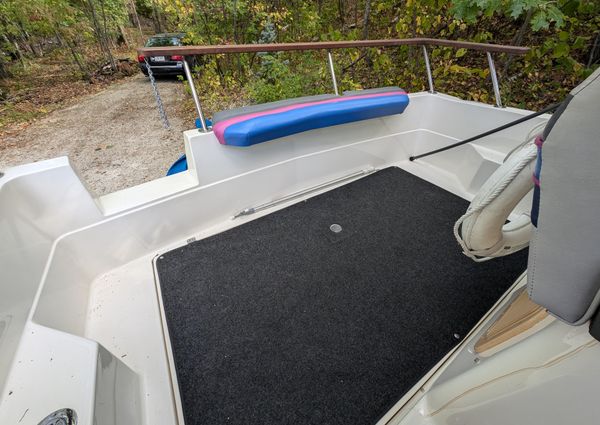 Bayliner 2455-CIERA-SUNBRIDGE image