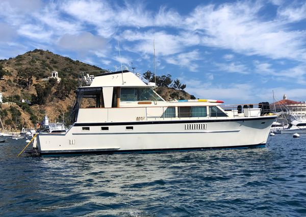 Hatteras Yacht Fish image