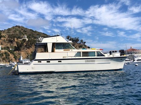 Hatteras Yacht Fish image