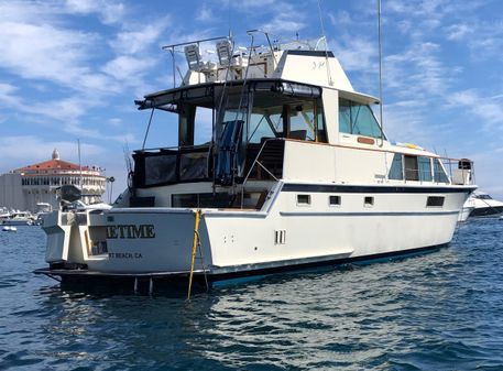 Hatteras Yacht Fish image