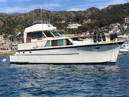 Hatteras Yacht Fish image