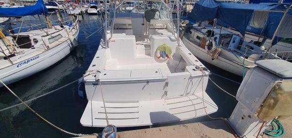 Luhrs 31 Open image