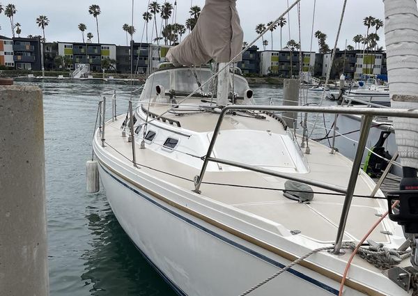 Catalina 34 image