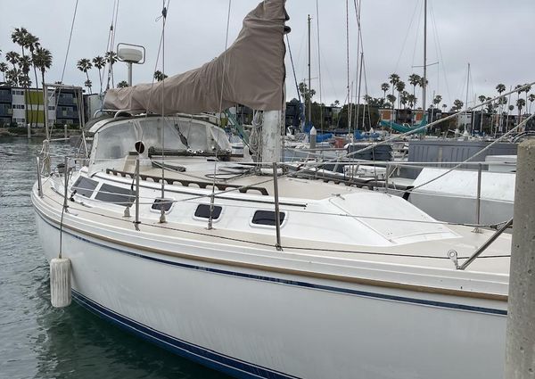 Catalina 34 image