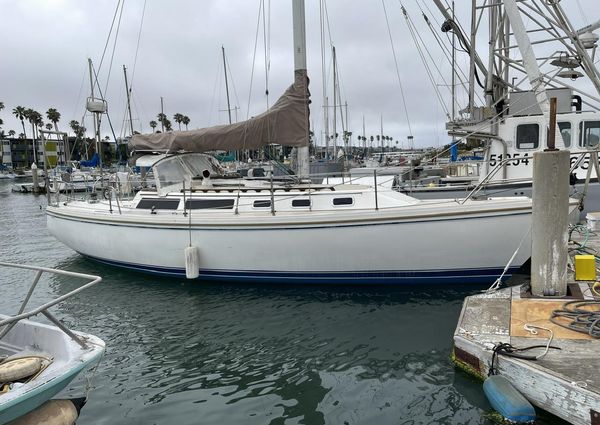 Catalina 34 image