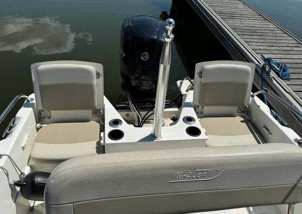 Boston-whaler 170-DAUNTLESS image