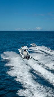 Billfish 39 Center Console w/Tower image