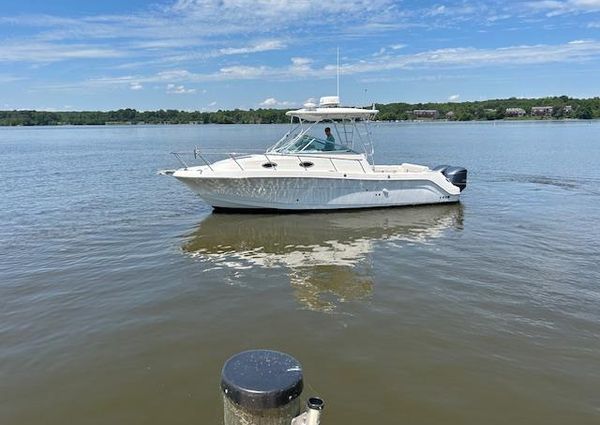 Robalo R305-WALKAROUND image