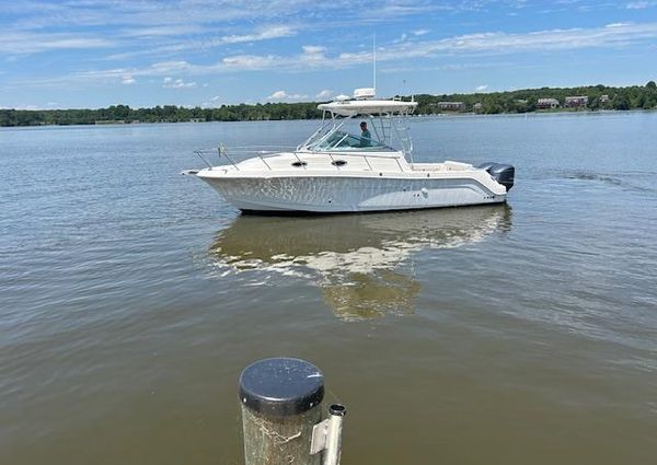 Robalo R305-WALKAROUND image