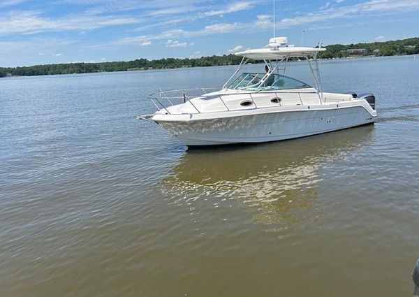 Robalo R305-WALKAROUND image