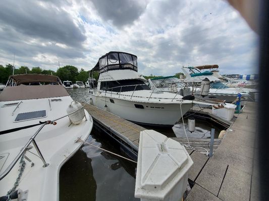 Carver 3207-AFT-CABIN-MOTOR-YACHT - main image